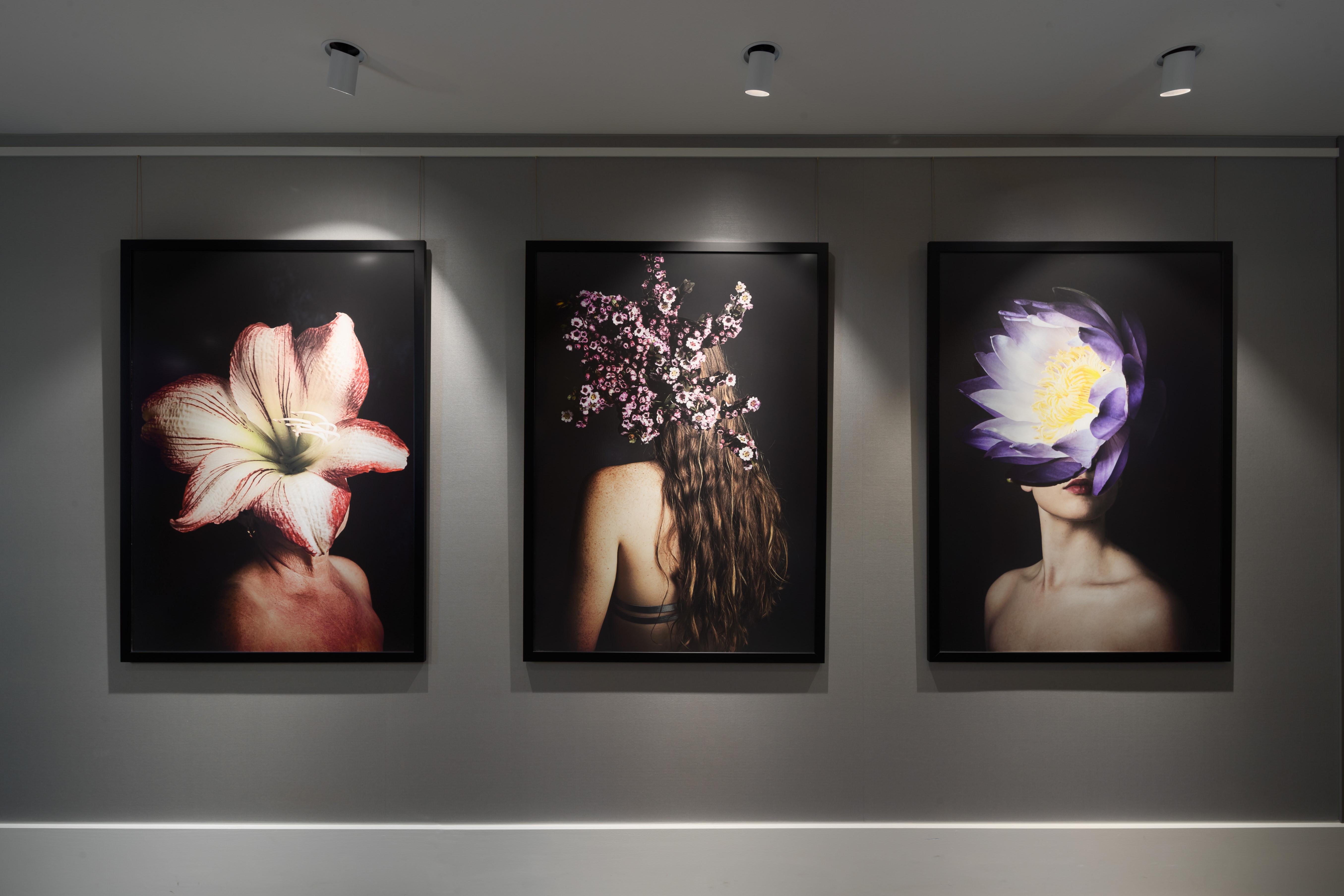 Hotel Crystalbrook Bailey Cairns Zewnętrze zdjęcie The Flower Series